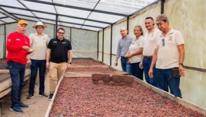 Cacaocultores del Huila buscan conquistar nuevos mercados