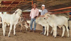 Importante inversión para fortalecer el mejoramiento genético bovino