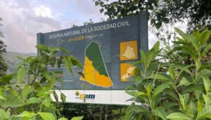 Se fortalece la conservación ambiental en el Huila