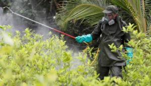 Gobierno levanta prohibición al glifosato