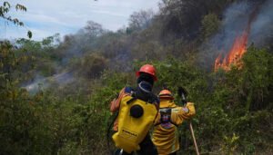 Controlado el 84 por ciento de los incendios en el Tolima
