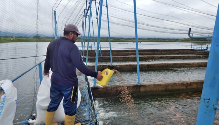 Huila y sus medidas para proteger al sector piscícola ante El Niño