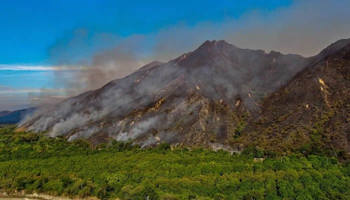 Incendios forestales han arrasado más de 22.000 hectáreas en el Tolima