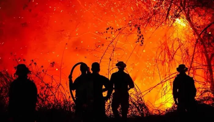 Sigue la emergencia en el Tolima por los incendios