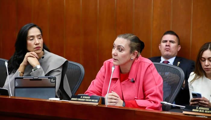 Bienestar Familiar y su presupuesto para 2027