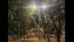 Nuevo alumbrado público para zona verde del sur de Neiva