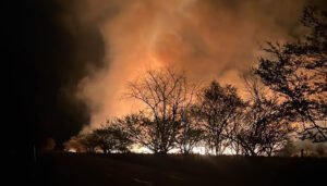 Huila registró cuatro incendios de cobertura vegetal