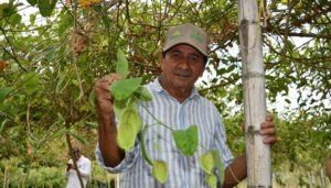 La cholupa se convierte en experiencia turística