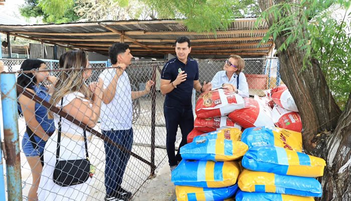 Mil perros y gatos en condición de calle reciben apoyo alimentario en Neiva