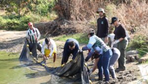 CAM rescata fauna silvestre de El Curíbano
