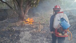 Bomberos atendieron siete incendios de cobertura vegetal en el Huila