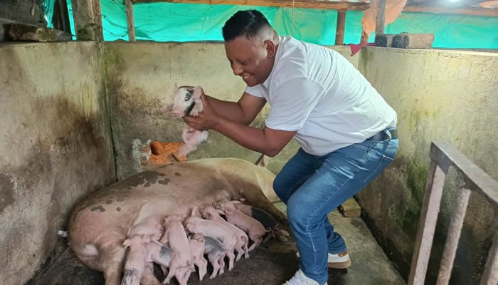 Proyecto para fortalecer la porcicultura en Íquira