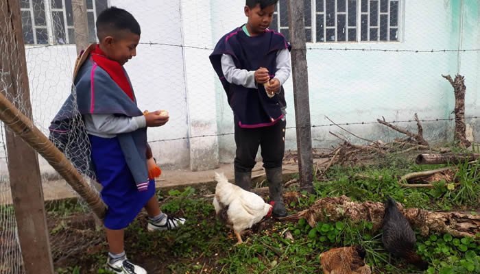 Fortaleciendo la seguridad alimentaria en La Argentina